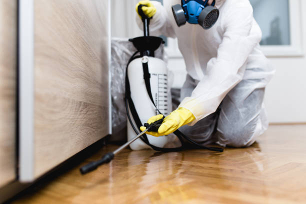 Best Local Pest Control Services  in Monticello, IN