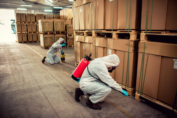 Best Local Pest Control Services  in Monticello, IN