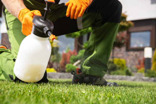 Best Mosquito Control Services  in Monticello, IN