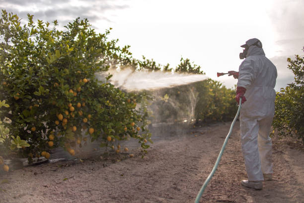 Best Mosquito Control Services  in Monticello, IN
