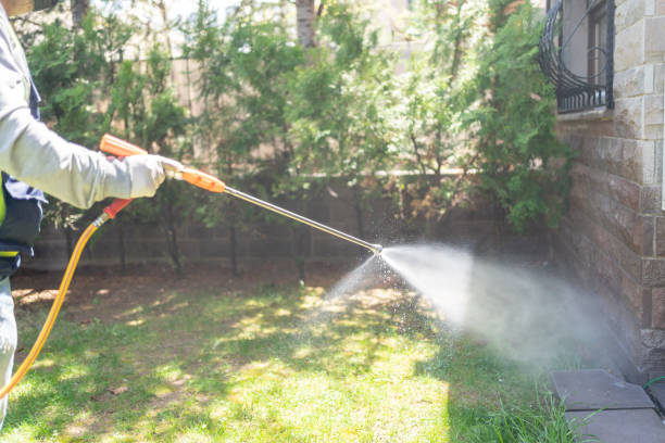 Best Pest Inspection Near Me  in Monticello, IN