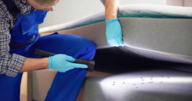 Reliable Monticello, IN Pest Control Solutions