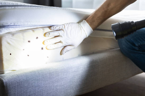 Best Pest Control for Homes  in Monticello, IN