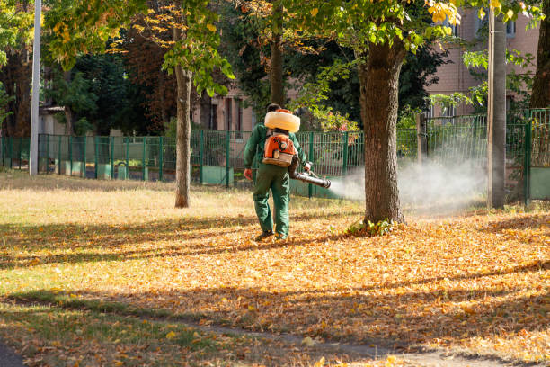 Best Commercial Pest Control Services  in Monticello, IN