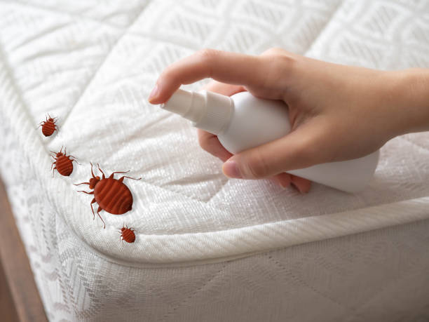 Best Residential Pest Control  in Monticello, IN