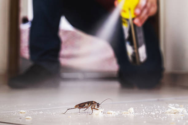 Best Mosquito Control Services  in Monticello, IN