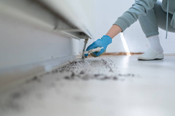 Reliable Monticello, IN Pest Control Solutions
